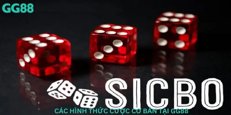 Các hình thức cược cơ bản tại Gg88.bet